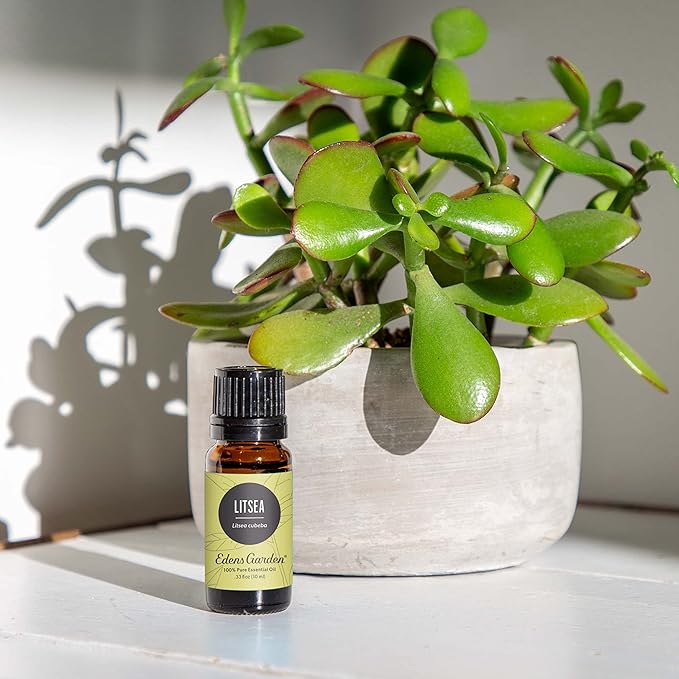 Edens Garden Litsea Essential Oil- 100% Pure Premium Grade, Undiluted, Natural, Therapeutic, Aromatherapy, The Best for Diffuser, Candle, Laundry, Humidifiers 10 ml (.33 fl oz)-Velvo Beauty