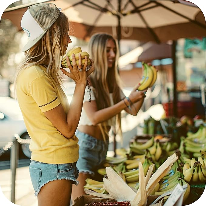 Sun Bum Piña Colada Cocobalm | Hydrating Lip Balm with Aloe | Hypoallergenic, Paraben Free, Silicone Free, | 0.15oz Stick (20-48058)-Velvo Beauty