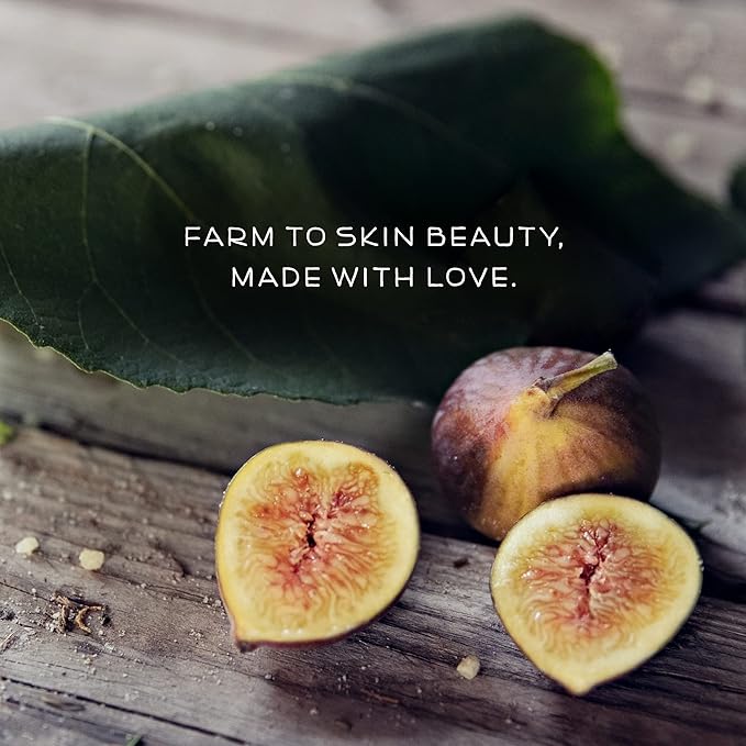 Farmstead Apothecary 100% Natural Lip Balm with Organic Beeswax, Organic Shea Butter & Organic Coconut Oil, Fig & Honey 0.2oz (Pack of 2)-Velvo Beauty