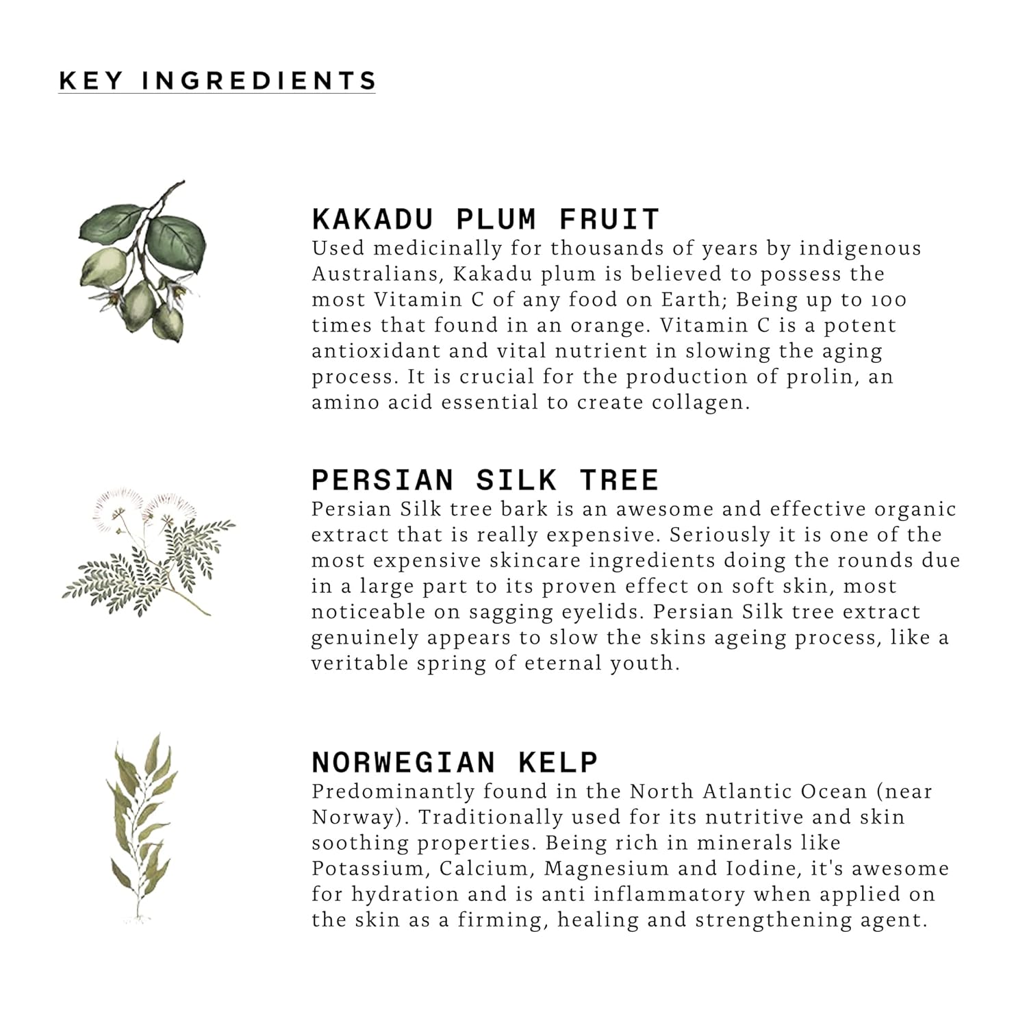 Triumph & Disaster | Dichotomy Eye Serum | Anti-Aging, Targeting Dark Circles, Crows Feet & Puffiness for Men - 0.5 fl oz-Velvo Beauty