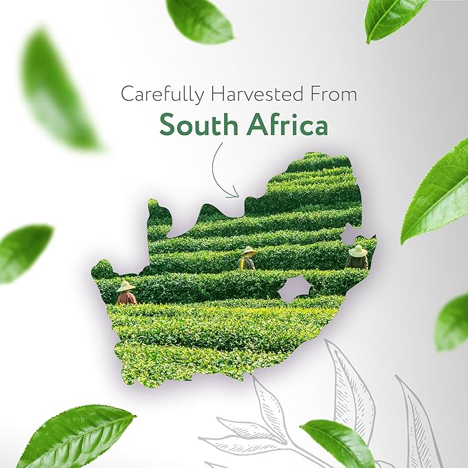 HBNO Organic Tea Tree Oil - Huge 16 oz (475ml) Large Size - Ideal for Diffusers, Cleaning Agents, Deodorizers, and Flavoring Agents.-Velvo Beauty