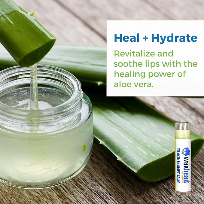 Waxhead Organic Lip Balm Vanilla - Sunburn Relief, Lip Moisturizer for Very Dry Lips, Lip Therapy, Lip Repair for Dry Cracked Lips, Healing Lip Balm for Severely Chapped Lips (4 pack)-Velvo Beauty