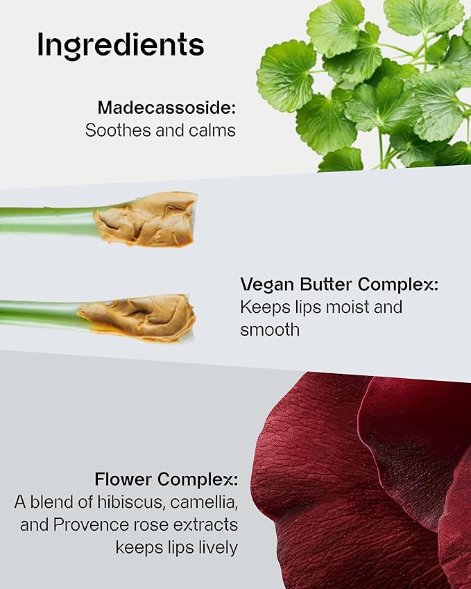 Vitamin Ampoule Lipcerin (01 Enriched, 0.5fl oz) - Moisturizing & Nourishing Lip Gloss Balm, Overnight Korean Skin Care Sleeping Mask. Vitamin C, Vegan.-Velvo Beauty