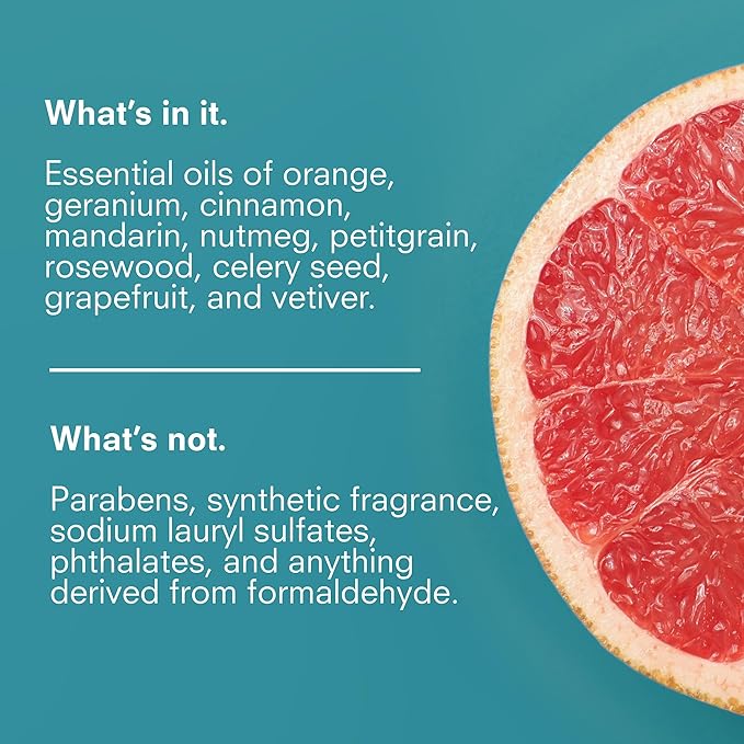 Public Goods Hand Soap | Cleansing Soap for Kitchen & Bathroom | Made with Natural Essential Oils | Paraben & Sulfate Free | Vegan Friendly | Made in Canada | 12 Fl Oz Bottle with Dispenser Pump-Velvo Beauty