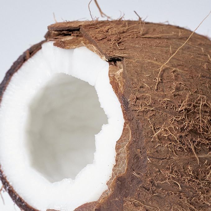 Addison Rae Fragrance Passionate - Luxury Perfume for Women - Fruity Floral Vanilla Scent - Eau De Parfum - Notes of Lychee, Jasmine - Long Lasting Vegan Travel Cologne - Gift for Her - 1 oz EDP Spray-Velvo Beauty