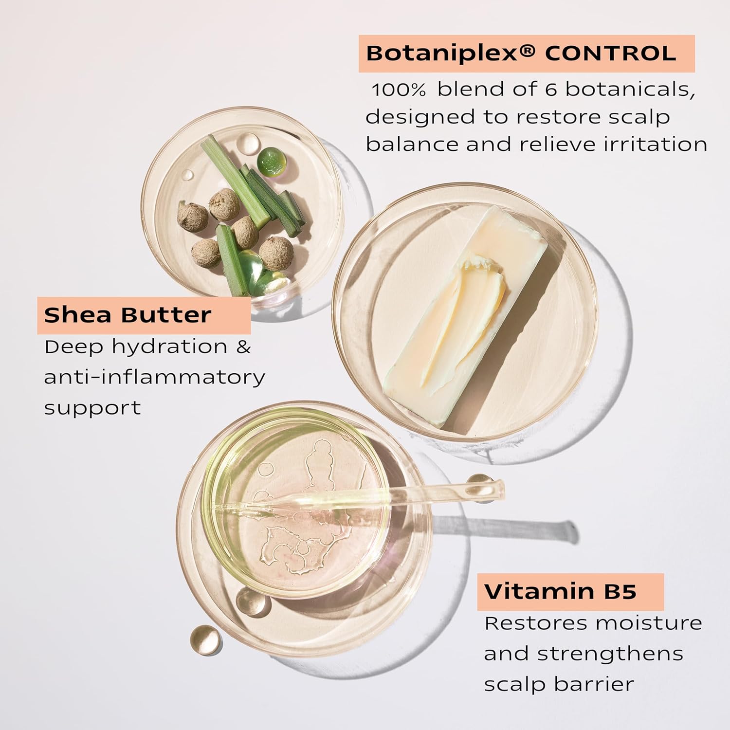 KAMEDIS Scalp Moisturizer Lotion For Dry, Itchy, Dandruff, Flaky, Seborrheic Dermatitis, Psoriasis and Sensitive Scalp. Over-Night Mask Treatment Botanicals-Based. Parabens Free. 3.38 Fl Oz.-Velvo Beauty