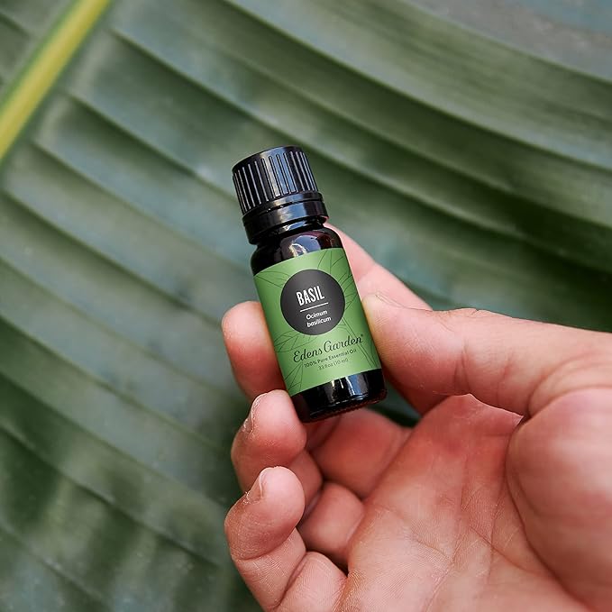 Edens Garden Basil Essential Oil- 100% Pure Premium Grade, Undiluted, Natural, Therapeutic, Aromatherapy, The Best for Diffuser, Skin, Candle, Laundry 10 ml (.33 fl oz)-Velvo Beauty
