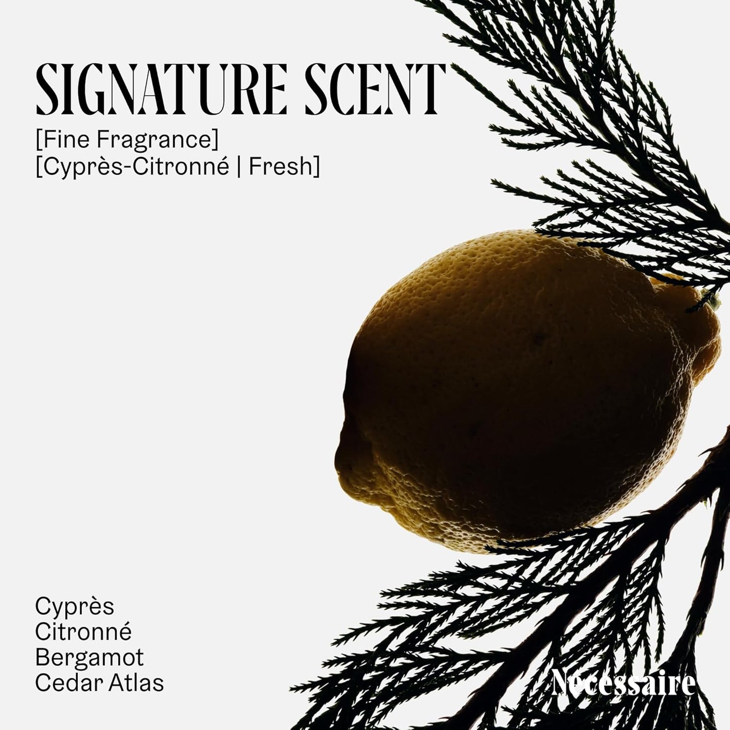 Nécessaire The Body Lotion Cyprès-Citronné – Multi-Peptide Body Moisturizer for Women + Men – Non-Comedogenic Body Lotion with Niacinamide – 450ml/15.2 fl oz-Velvo Beauty