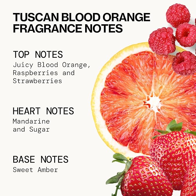 Pacifica Beauty, Wanderlust Spray Perfume Trial Set, Island Vanilla, 5 Scents, Fragrance Sampler Gift Set, Natural & Essential Oils, Clean, Vegan & Cruelty Free-Velvo Beauty