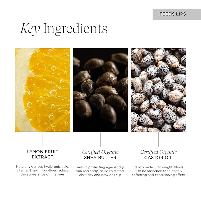 OneBody Lip Delivery Nutrition, Antioxidant-Rich Lip Balm Nourishes, Protects, and Perfects, for All Skin Types, 0.3 Oz-Velvo Beauty