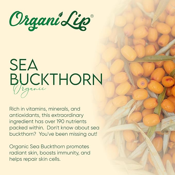 Organic Lip Balm, Spearmint Flavor, Ultra Hydrating Lip Moisturizer for Dry Lips, Oval Shaped Tube, USDA Certified Organic, 3 Pack - OrganiLip-Velvo Beauty