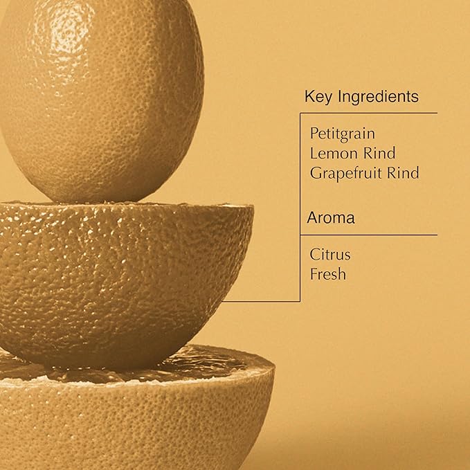 Aesop Citrus Melange Body Cleanser | Gentle Low-Foaming Gel Cleanser For Skin | Citrus Aroma with Botanical Extracts | 16.9 oz / 500 mL-Velvo Beauty
