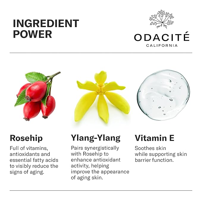 Odacité Anti Aging Serum Concentrate with Rosehip + Ylang-Ylang - Lightweight Facial Serum For Mature Skin, Fine Lines, Nourishes for Look of Plump, Youthful Skin - 0.17 Fl. Oz-Velvo Beauty