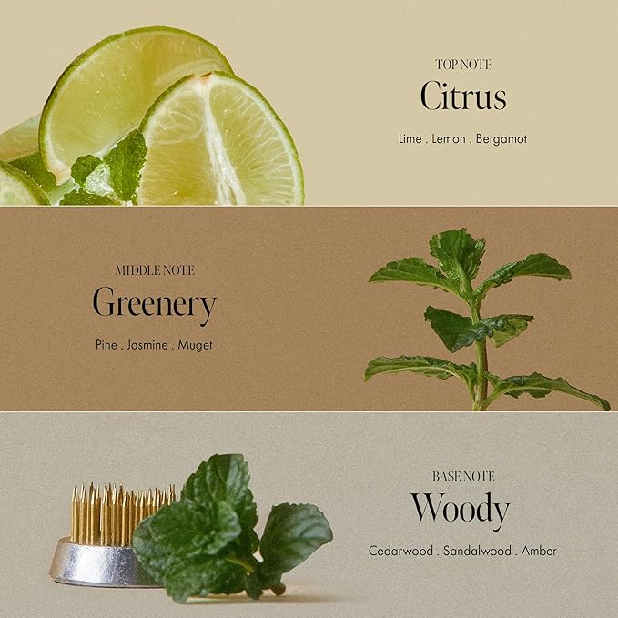 Lime Sunday Refresh Shampoo with Vitamin C, Korean Jeju Tangerine, Mint & Almond Powder for Oily Scalp Care – Exfoliating, Deep Cleansing, Lime Citrus Scent, Silicone & Paraben-Free (15.22 fl.oz)-Velvo Beauty