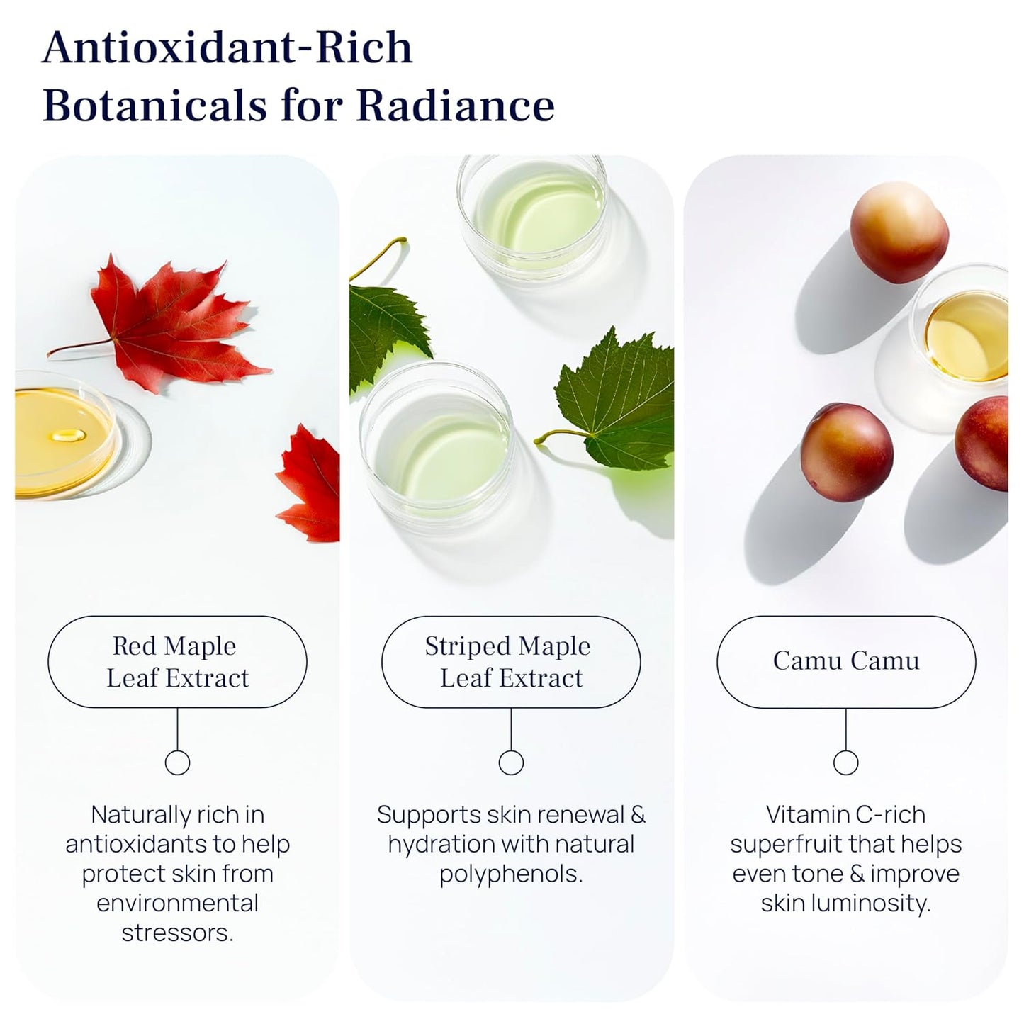 PUREANCE Organic Bakuchiol Plumping Serum - Bakuchiol for Face Skin and Wrinkles - Cellular Restore Serum - With Jojoba Oil, Sea Buckthorn, Camu Camu, Babchi, Maple Leaf Extracts & More - 1 Fl Oz-Velvo Beauty