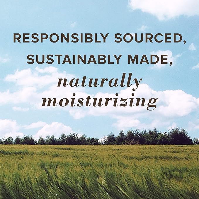 Burt's Bees 100% Natural Tinted Lip Balm, Sweet Violet with Shea Butter & Botanical Waxes - 1 Tube-Velvo Beauty