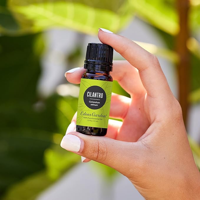 Edens Garden Cilantro Essential Oil- 100% Pure Premium Grade, Undiluted, Natural, Therapeutic, Aromatherapy, The Best for Diffuser, Candle, Laundry, Kid Safe 10 ml (.33 fl oz)-Velvo Beauty