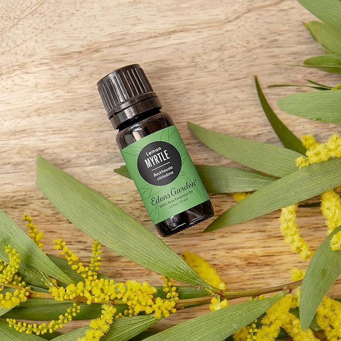Edens Garden Myrtle- Lemon Essential Oil- 100% Pure Premium Grade, Undiluted, Natural, Therapeutic, Aromatherapy, The Best for Diffuser, Candle, Laundry, Humidifiers 30 ml (1 fl oz)-Velvo Beauty