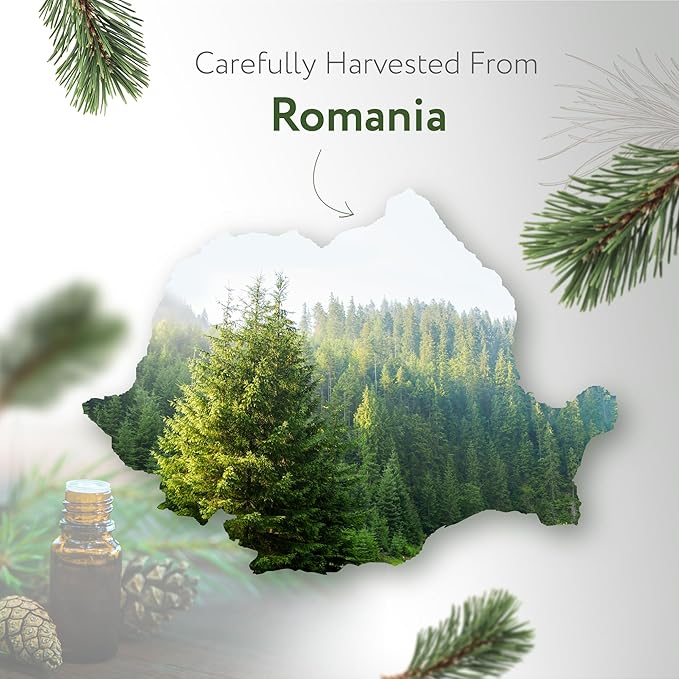 HBNO California Bottled Pine Needle Essential Oil 4 fl oz (120ml) - Natural Pine Needle Oil - Perfect for Cleaning, Aromatherapy, DIY, Soap & Diffuser-Velvo Beauty