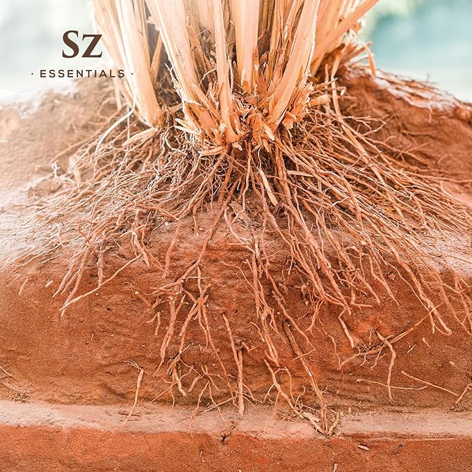 Vetiver Essential Oil - 100% Pure, Premium & Natural - Undiluted - Sweet, Earthy, Woody and Grassy Scent with Smoky grounding Undertones- Therapeutic Grade & Vegan - 1/6 oz. (5 mL)-Velvo Beauty