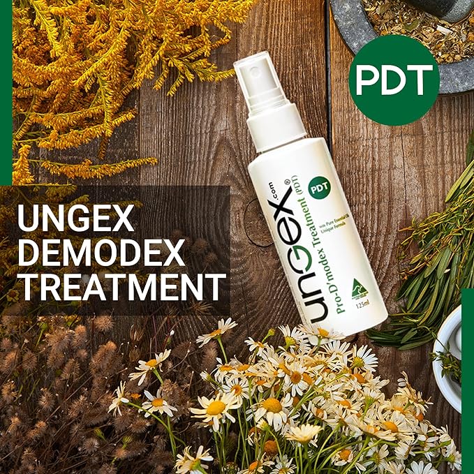 Basic Kit-i | Demodex Solution For Acne Rosacea, Itchiness, Redness | Ungex-Velvo Beauty