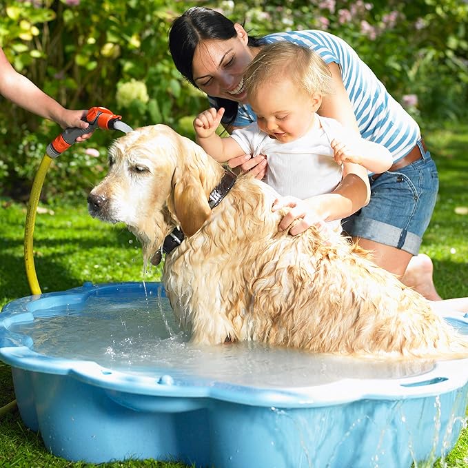 Hair Scalp Brush Dandruff Cleaning Brush Shower Scalp Shampoo Brush Scalp Massager Pack of 4 (White and Green)-Velvo Beauty