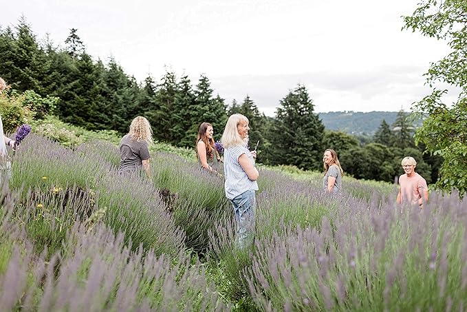 Victoria's Lavender Natural Body Products Gift Set - Handmade Soap, Hand & Body Lotion, Lip Balm, Body Candle Skin Care Sets & Kits, Lavender Bath and Body Products for Women, Lavender-Velvo Beauty