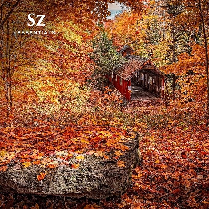 Pumpkin Spice Essential Oil Blend for Diffuser and Humidifier - 100% Pure and Natural - Rich Pumpkin Spice Scent, with Fruity and Spicy Overtones - Vegan - 0.17 floz (5 mL)-Velvo Beauty