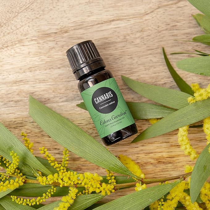Edens Garden Cannabis Essential Oil- 100% Pure Premium Grade, Undiluted, Natural, Therapeutic, Aromatherapy, The Best for Diffuser, Skin, Candle, Humidifiers 10 ml (.33 fl oz)-Velvo Beauty