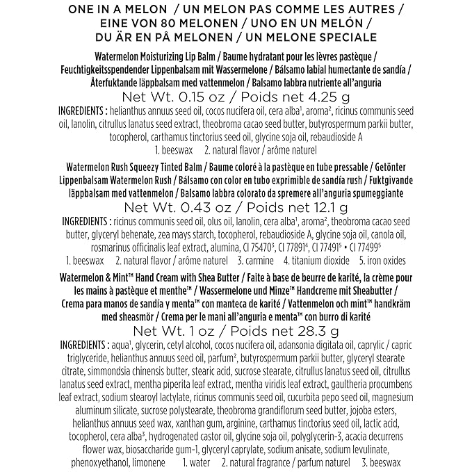 Burt's Bees Mothers Day Gifts for Mom, 3 Self Care Products, You're One in a Melon - Watermelon & Mint Hand Cream, Watermelon Lip Balm & Watermelon Rush Squeezy Tinted Lip Balm (Packaging May Vary)-Velvo Beauty