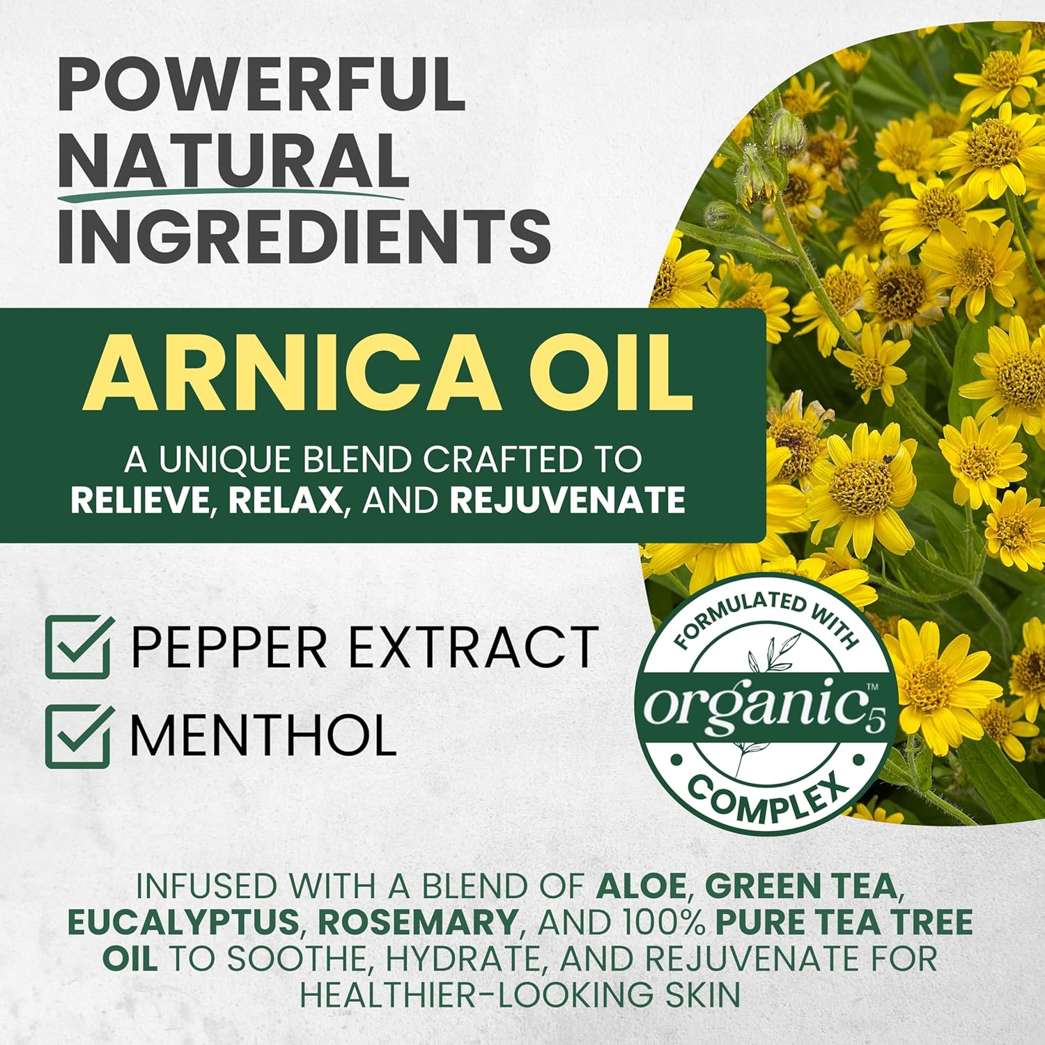 Sore Muscle Massage Oil for Massage Therapy with Arnica, Eucalyptus & Tea Tree Oil Blend for Deep Muscle Relief, Recovery, Softens Skin & Anti-Cellulite Massage for Professional & Home Use, 2-Pack-Velvo Beauty