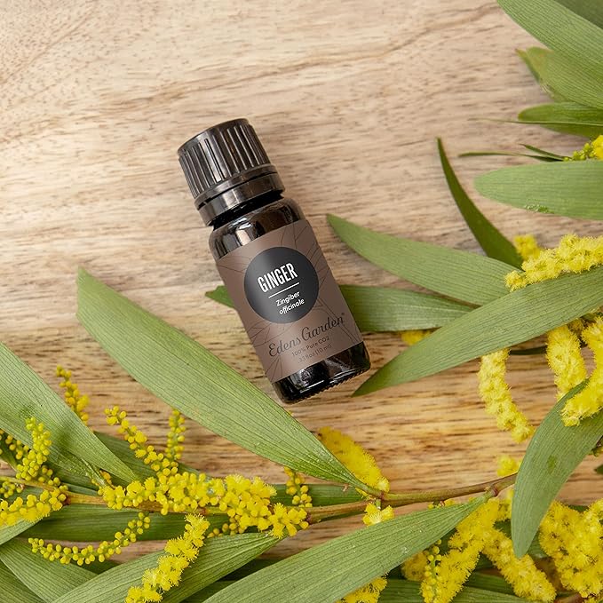 Edens Garden Ginger CO2 Essential Oil- 100% Pure Premium Grade, Undiluted, Natural, Therapeutic, Aromatherapy, The Best for Diffuser, Candle, Laundry, Humidifiers 10 ml (.33 fl oz)-Velvo Beauty