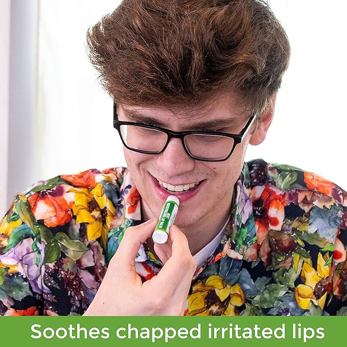 Handmade Moisturizing Mint Lip Balm - All Natural, All Day Hydration, Smooth & Soft Care for Women, Men and Kids - Original Beeswax, Shea Butter, Jojoba Oil, Vitamin E - Pack of 4-Velvo Beauty